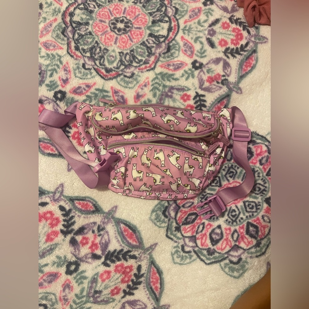 Fanny pack